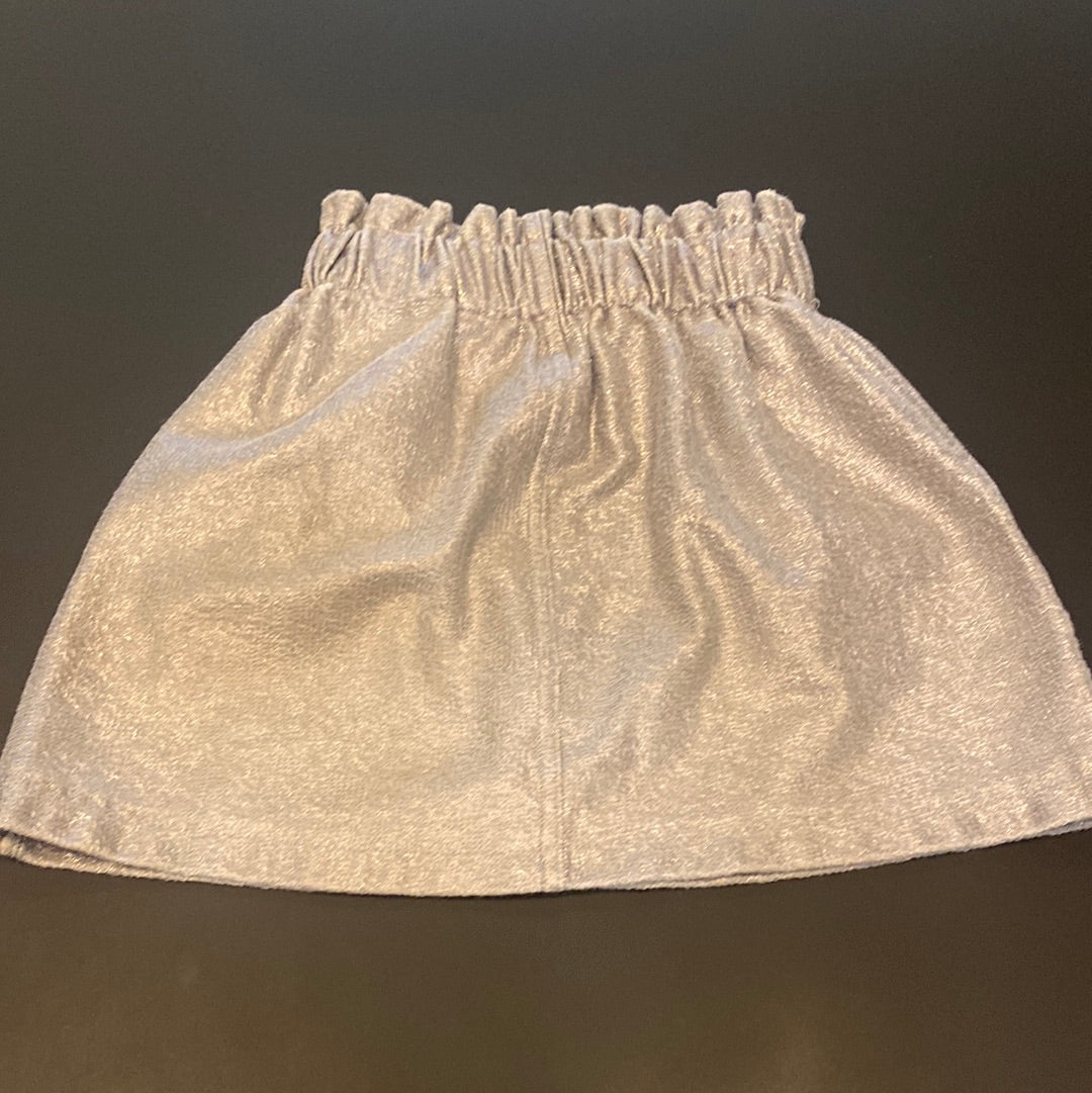 Consignment 4475-30 Zara silver skirt / size 6
