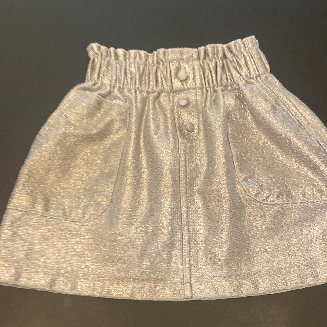 Consignment 4475-30 Zara silver skirt / size 6