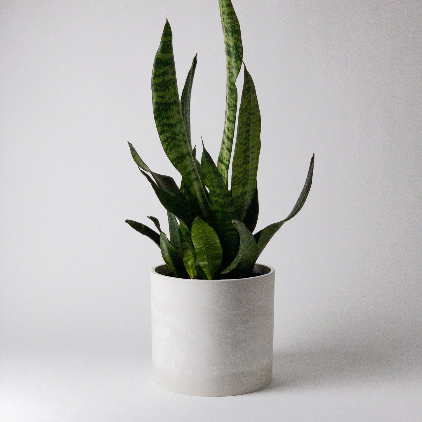 Kanso Designs - Eco-Friendly Planters