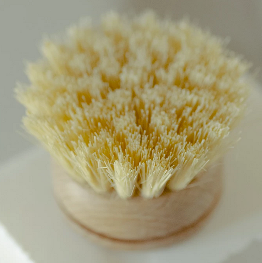 Casa Agave - Long Handle Dish Brush and Replacement Head