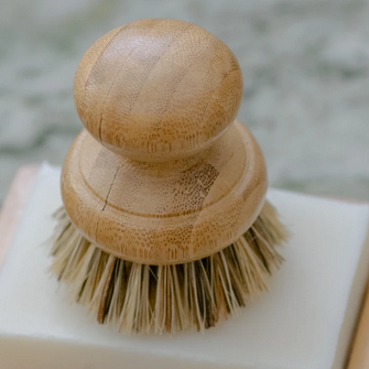 Casa Agave - Pot Scrubber Brush
