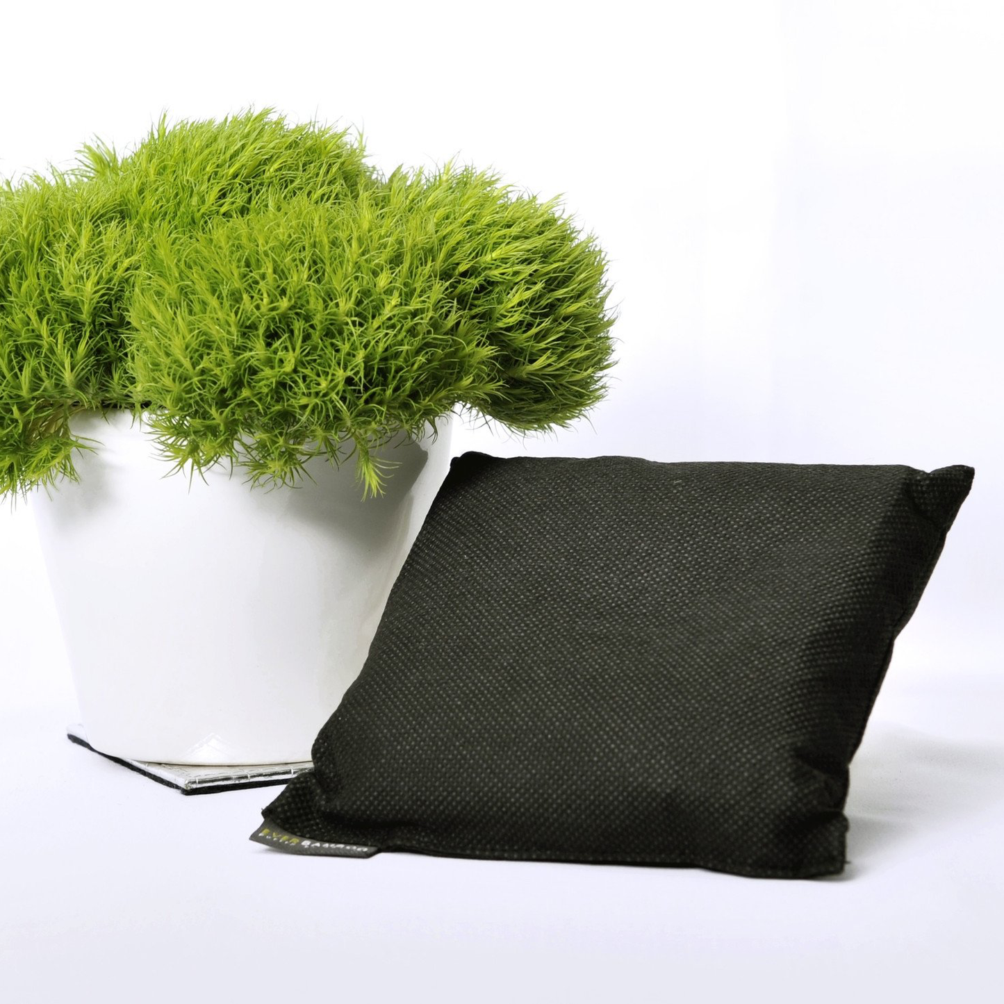 Ever Bamboo - Room Deodorizer/Dehumidifier