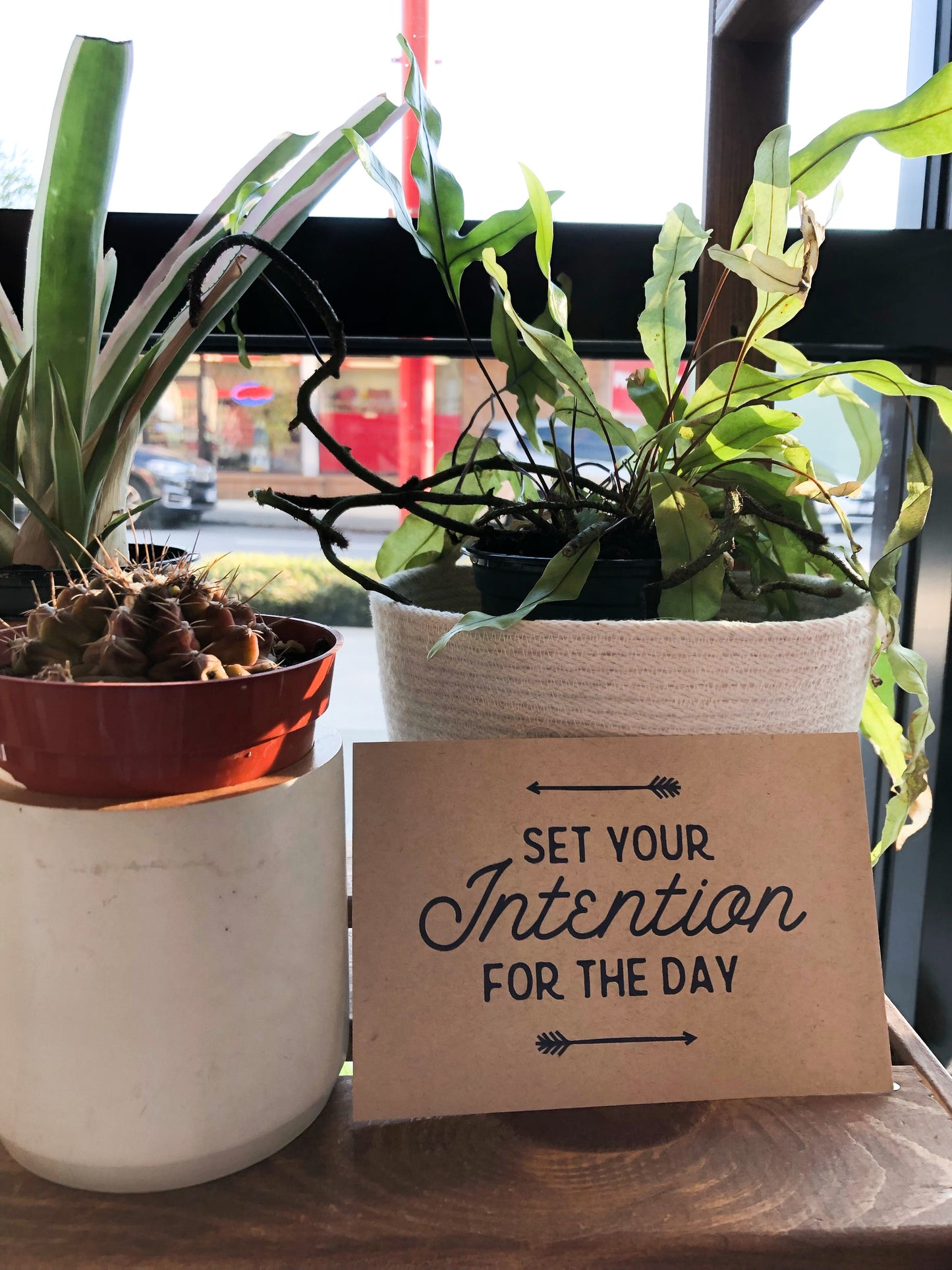 Sparkplug Creative - Set your Intention For The Day Postcard