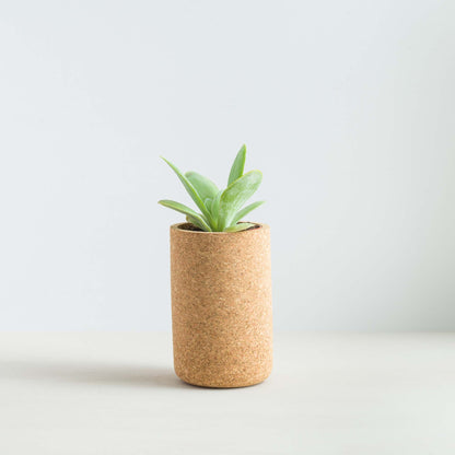 mind the cork - Cork Planters