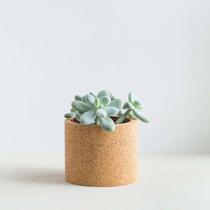 mind the cork - Cork Planters