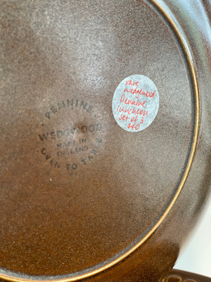 Vintage - Rare 1960s Wedgwood Pennine Luncheon Plates set of 3